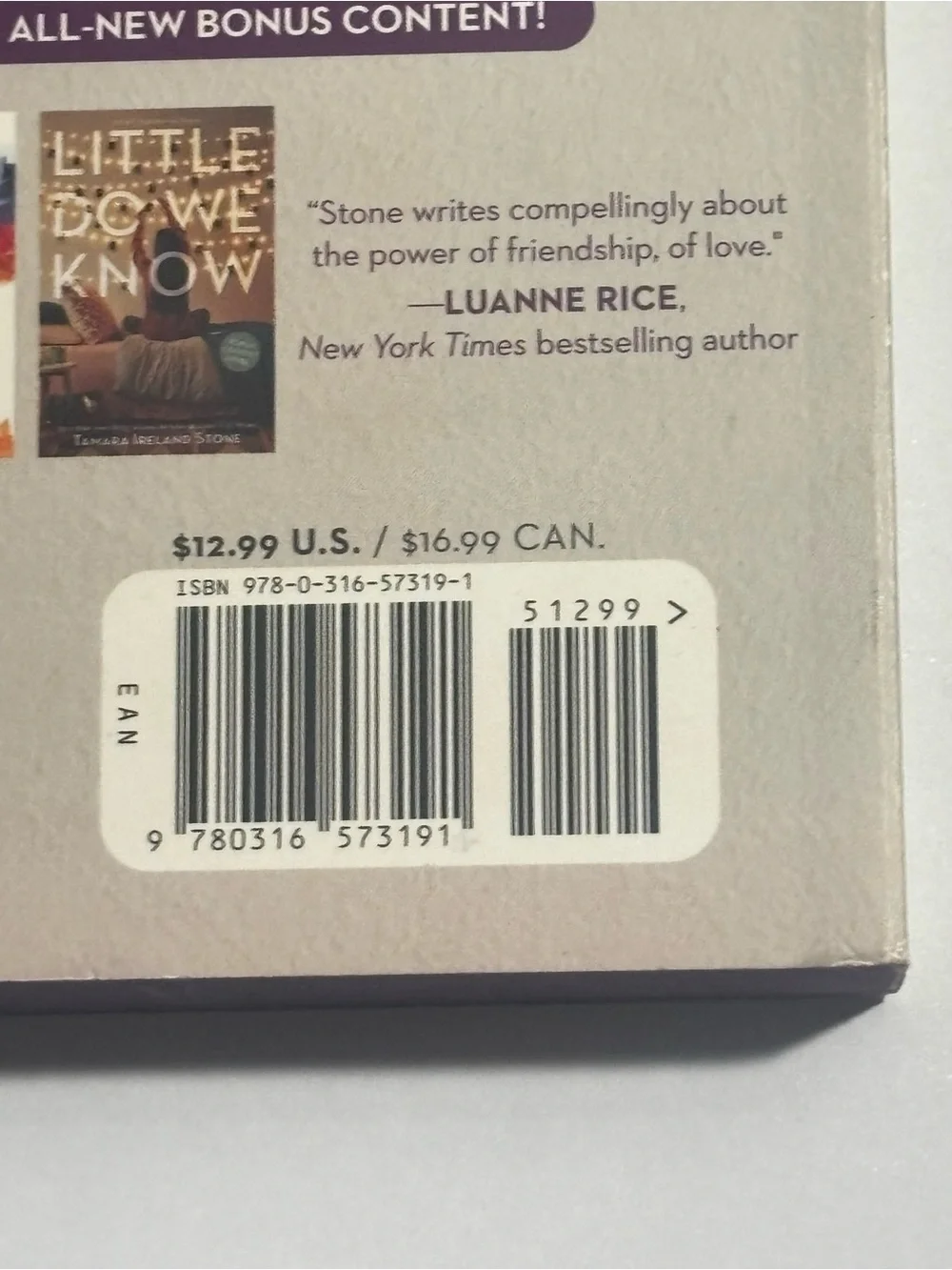 Every Last Word by Tamara Ireland Stone - Cream & Purple Paperback